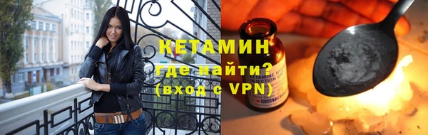 шишки Бородино