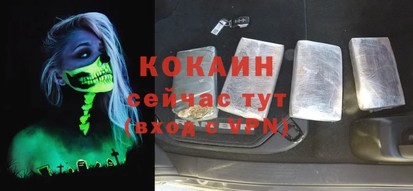 дурь Бронницы
