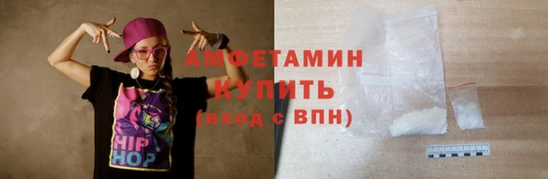 шишки Бородино