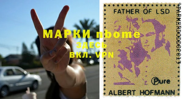 шишки Бородино