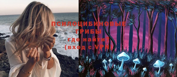 крисы Бугульма