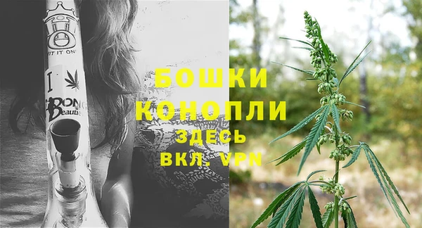 дурь Бронницы