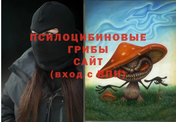 шишки Бородино