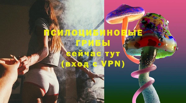 тгк Богородицк