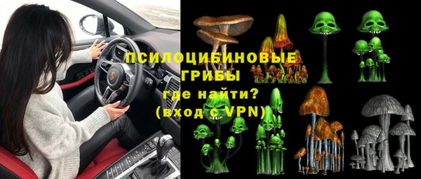 шишки Бородино