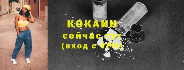 спиды Богородск