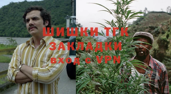 тгк Богородицк