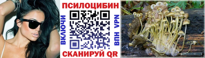 Псилоцибиновые грибы ЛСД  ОМГ ОМГ как зайти  Нарьян-Мар 
